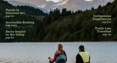 DisCoverArt screenshot