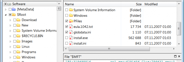 DMDE - DM Disk Editor and Data Recovery screenshot