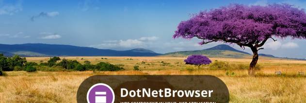DotNetBrowser screenshot