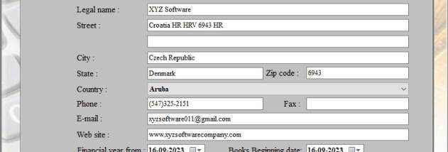 Download Financial Accounting Software screenshot