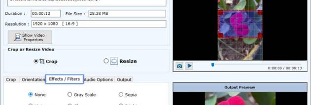 Download Freeware Video Cropping Tool screenshot