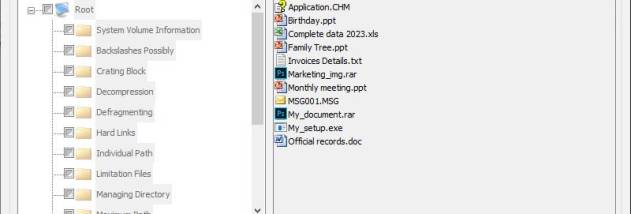 Download USB Drive Repair Software screenshot