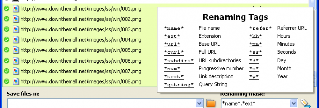 DownThemAll screenshot
