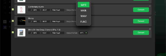 DumpMedia Spotify Music Converter screenshot