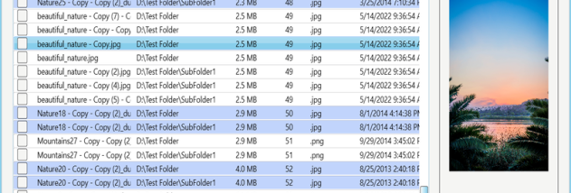 DupInOut Duplicate Finder screenshot
