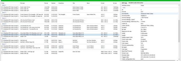 Duplicate MP4 Video & Audio Finder screenshot