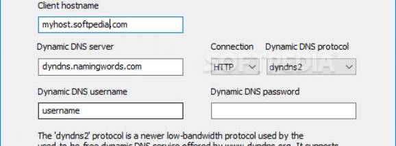 Dynamic DNS client for Windows screenshot