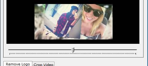 Easy Video Logo Remover screenshot