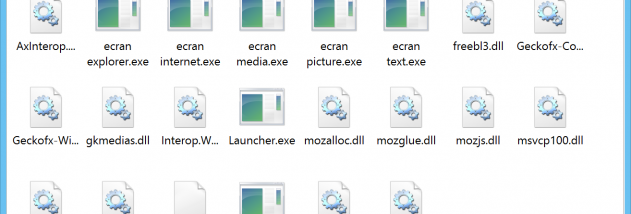 ecran downloader screenshot