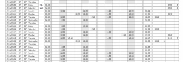 Employee Work Schedule screenshot