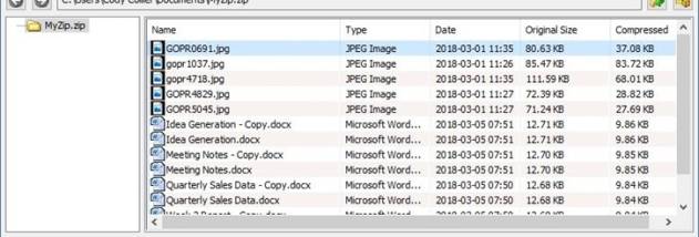 Express Zip Edizione Plus screenshot