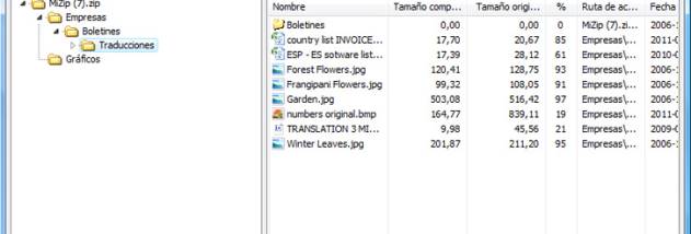 Express Zip para Comprimir Archivos Zip screenshot