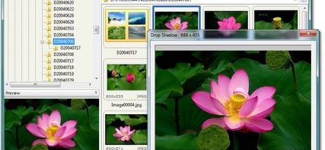 download faststone image viewer for windows 10 download faststone image viewer for windows 10