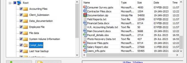 FAT Data Recovery Service screenshot