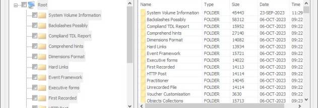 Fat File Recovery Program screenshot