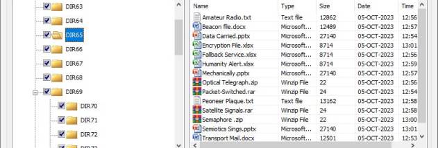 FAT Volume Data Recovery screenshot