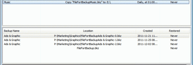 FileFort Backup Plus screenshot