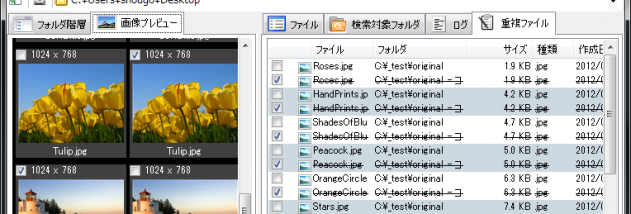 FileMany 64-bit screenshot