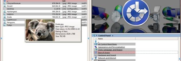 FileVoyager screenshot