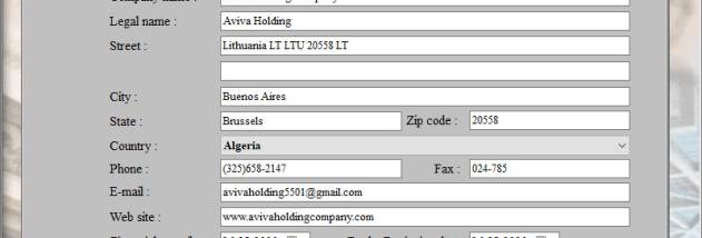 Financial Accounting Program screenshot