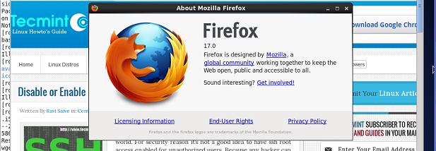 Firefox 17 screenshot