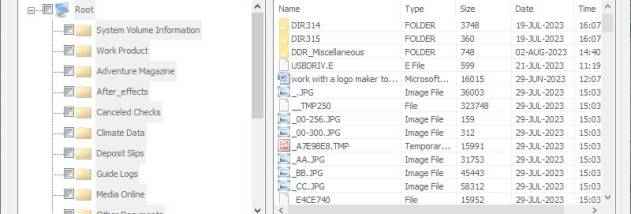 Flash Drive Data Recovery Software screenshot