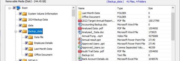 USB Drive Restore Software screenshot