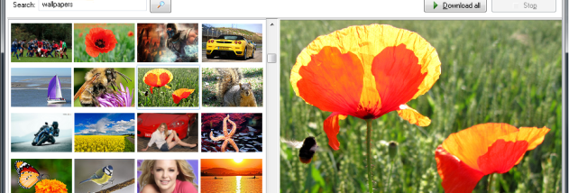 Flickr Mass Downloader screenshot