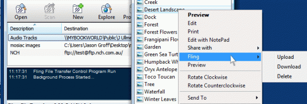 Fling Free FTP Uploader Software screenshot