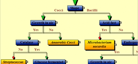 FlowChartX Pro screenshot