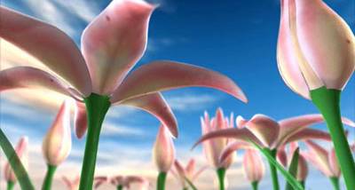 Flowers Meadow 3D screenshot