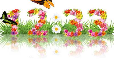 Flowers Time Screensaver screenshot