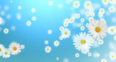 Flying Camomiles Screensaver screenshot