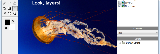 Fotografix Portable screenshot