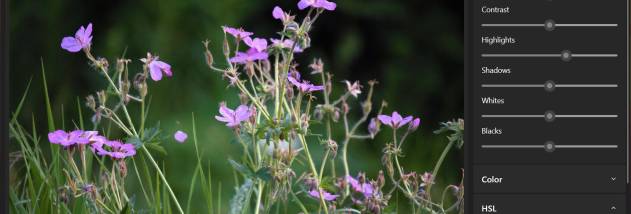 Fotografix screenshot