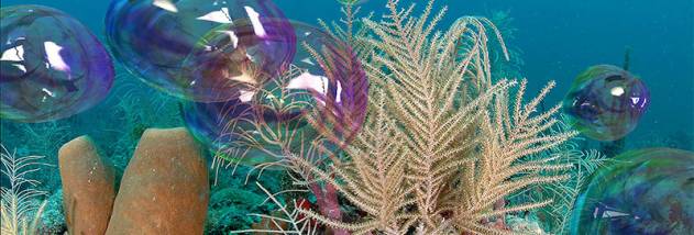 Free Bubbles 3D screensaver screenshot