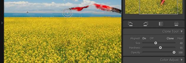 Free Clone Stamp Tool screenshot