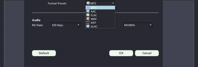 Free Spotify Music Downloader screenshot