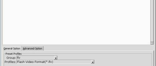 Free Video Flash Converter Freeware screenshot