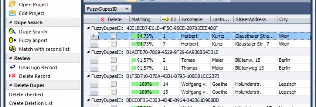 FuzzyDupes 2012 screenshot