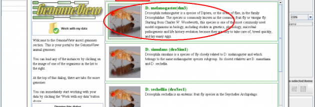 GenomeView screenshot