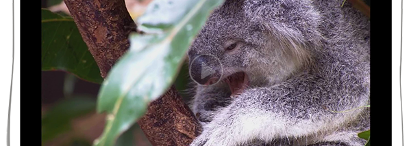 Gihosoft Free Video Cutter screenshot