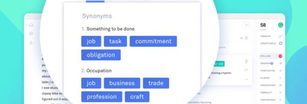 Grammarly screenshot
