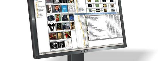 Graphic Workshop Professional screenshot