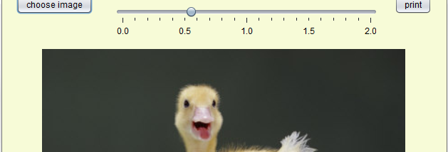 GreetingCard screenshot