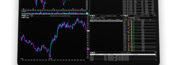 Hammer Pro screenshot