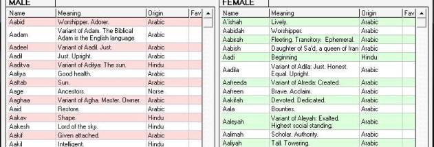 HippoName screenshot