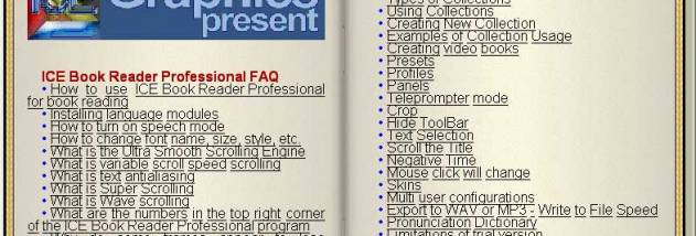 ICE Book Reader Professional screenshot
