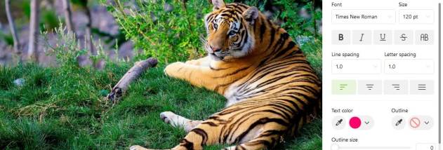 Icecream Photo Editor screenshot