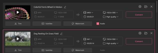 Icecream Video Converter screenshot